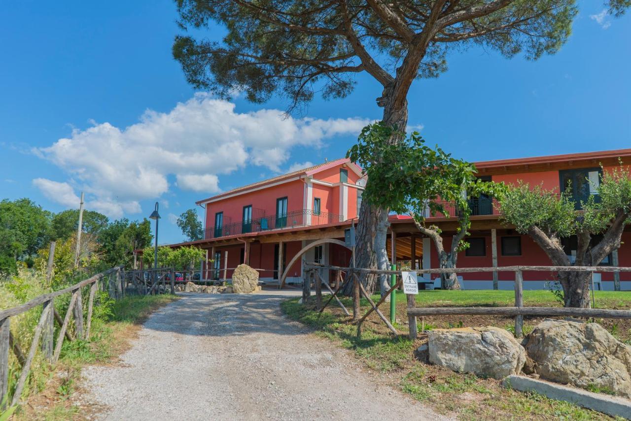 Terra Di Vento Panzió Montecorvino Pugliano Kültér fotó