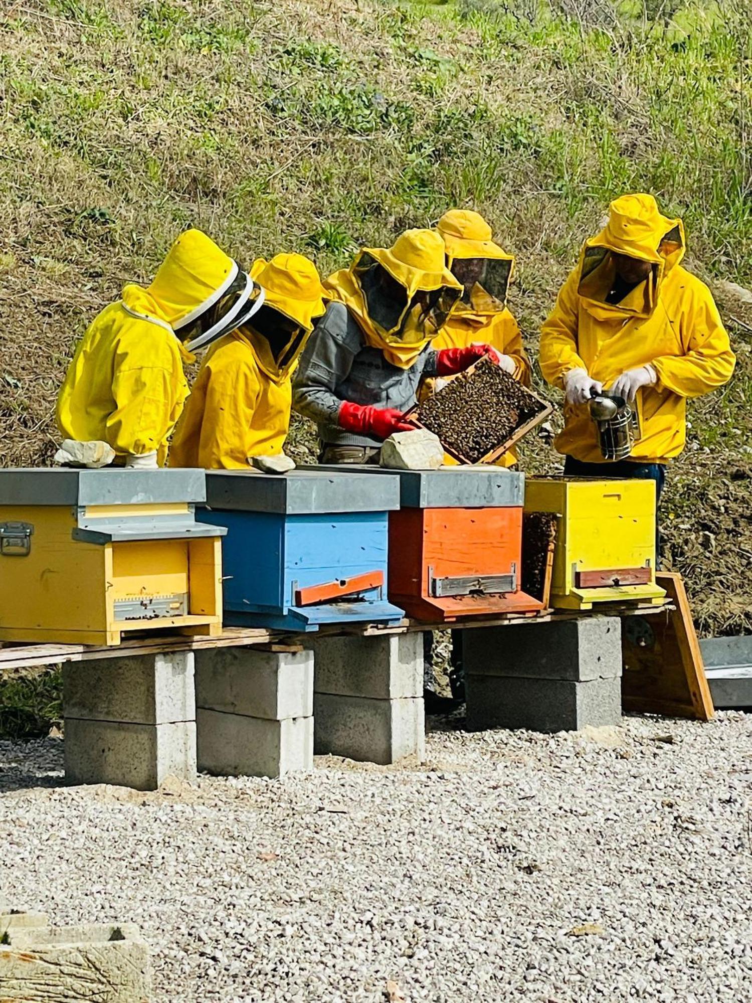 Terra Di Vento Panzió Montecorvino Pugliano Kültér fotó