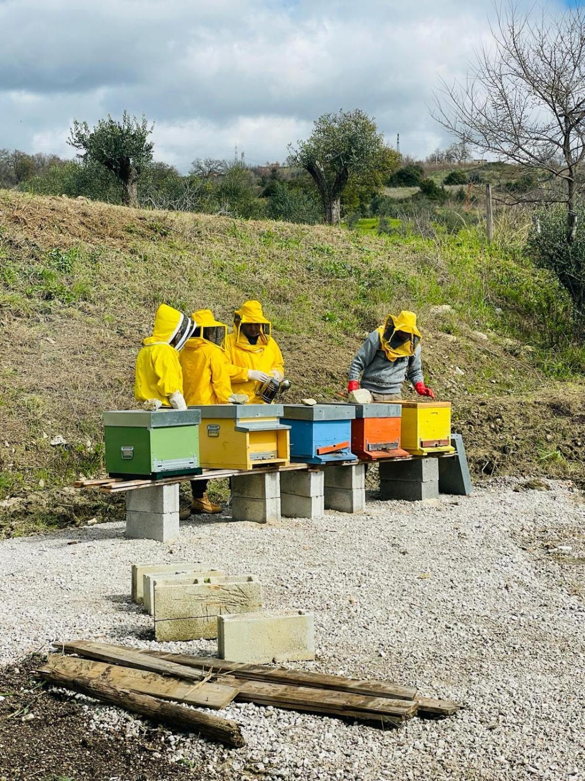 Terra Di Vento Panzió Montecorvino Pugliano Kültér fotó